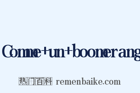 Comme+un+boomerang是什么意思的图片
